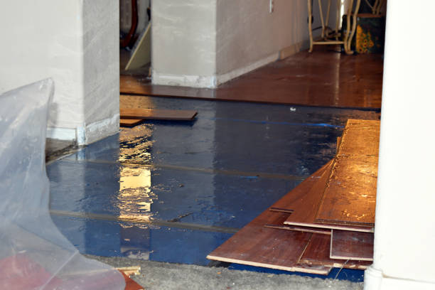 Professional Basement Water Removal technician working in Woodville, WI